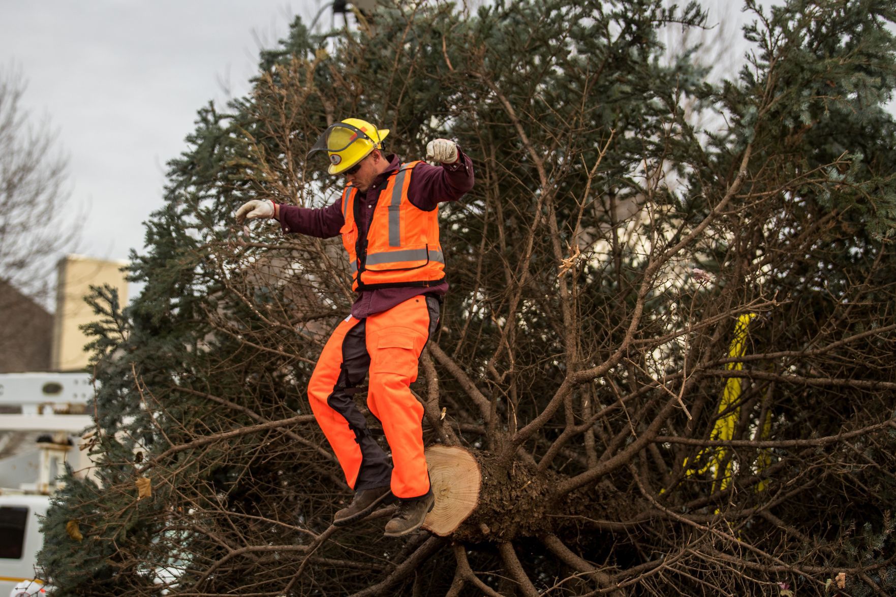 The Durham Museum's 2019 Christmas tree